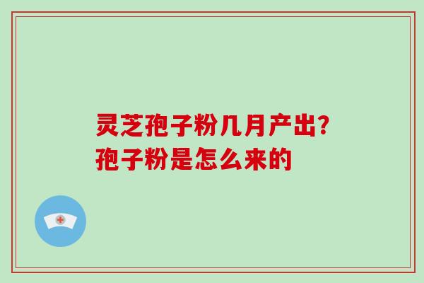 灵芝孢子粉几月产出?孢子粉是怎么来的