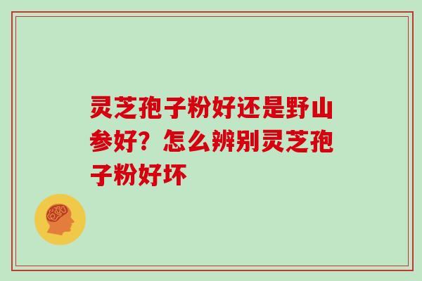 灵芝孢子粉好还是野山参好?怎么辨别灵芝孢子粉好坏