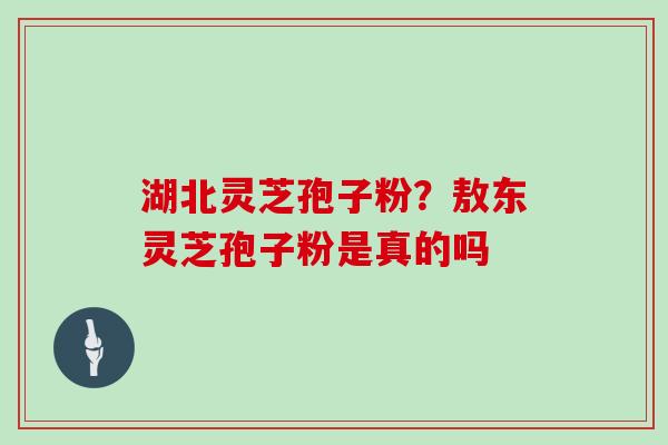 湖北灵芝孢子粉?敖东灵芝孢子粉是真的吗