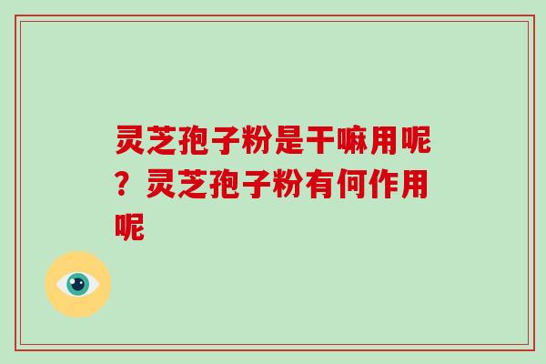 灵芝孢子粉是干嘛用呢?灵芝孢子粉有何作用呢