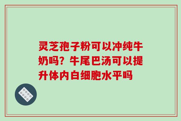 灵芝孢子粉可以冲纯牛奶吗?牛尾巴汤可以提升体内白细胞水平吗