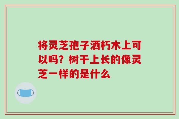 将灵芝孢子洒朽木上可以吗?树干上长的像灵芝一样的是什么