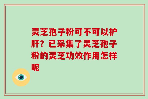 灵芝孢子粉可不可以护肝?已采集了灵芝孢子粉的灵芝功效作用怎样呢