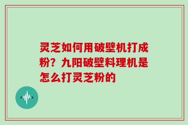 灵芝如何用破壁机打成粉?九阳破壁料理机是怎么打灵芝粉的