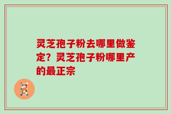 灵芝孢子粉去哪里做鉴定？灵芝孢子粉哪里产的最正宗