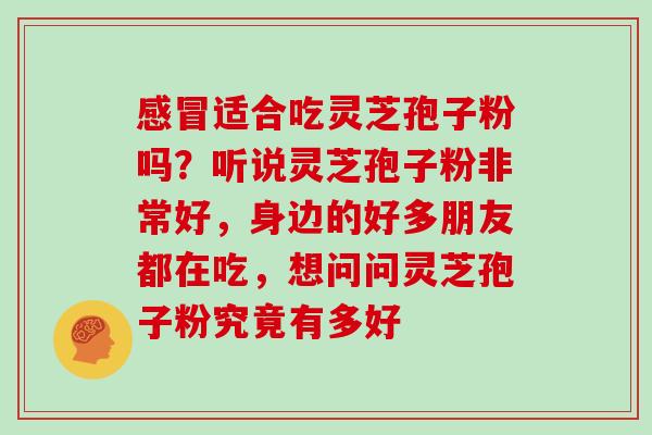 感冒适合吃灵芝孢子粉吗？听说灵芝孢子粉非常好，身边的好多朋友都在吃，想问问灵芝孢子粉究竟有多好