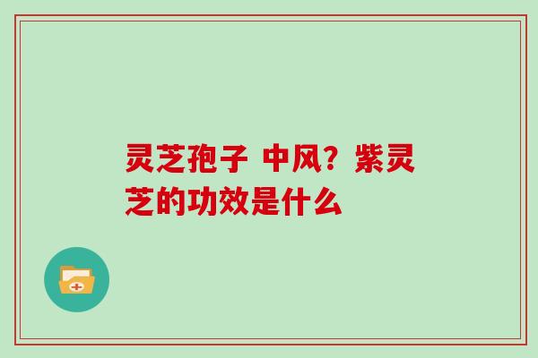 灵芝孢子 中风?紫灵芝的功效是什么