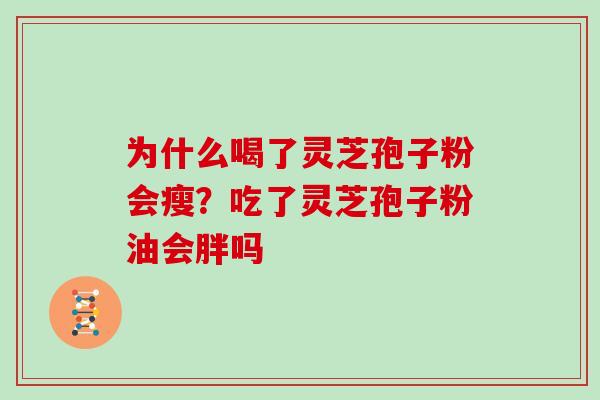 为什么喝了灵芝孢子粉会瘦?吃了灵芝孢子粉油会胖吗