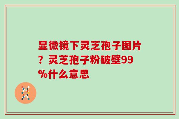 显微镜下灵芝孢子图片?灵芝孢子粉破壁99%什么意思