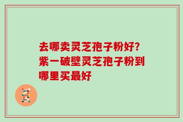 去哪卖灵芝孢子粉好?紫一破壁灵芝孢子粉到哪里买最好