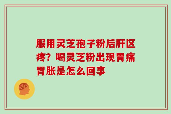 服用灵芝孢子粉后肝区疼?喝灵芝粉出现胃痛胃胀是怎么回事