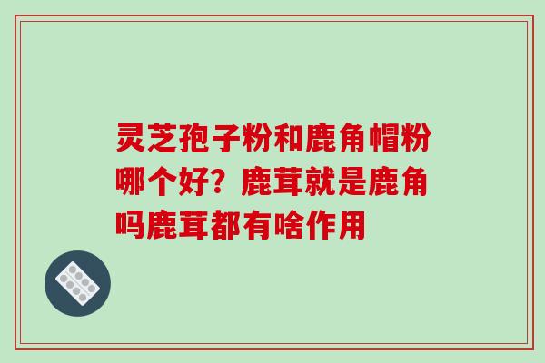 灵芝孢子粉和鹿角帽粉哪个好？鹿茸就是鹿角吗鹿茸都有啥作用