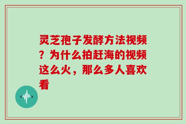 灵芝孢子发酵方法视频？为什么拍赶海的视频这么火，那么多人喜欢看
