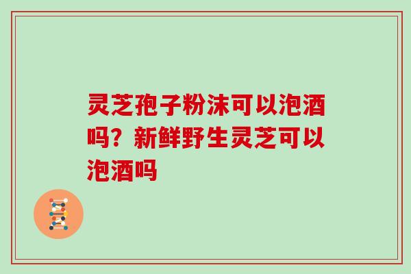 灵芝孢子粉沫可以泡酒吗?新鲜野生灵芝可以泡酒吗