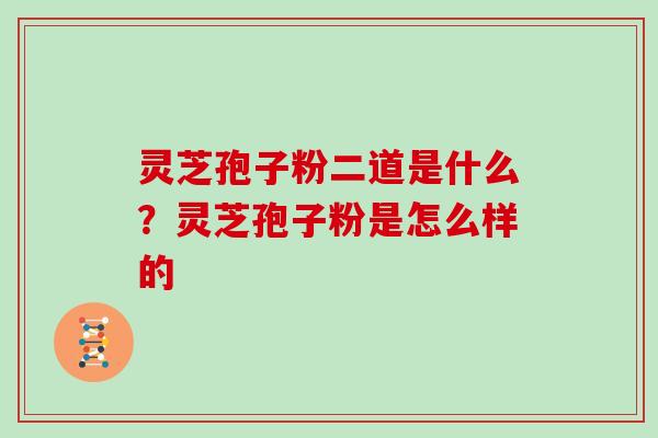 灵芝孢子粉二道是什么?灵芝孢子粉是怎么样的