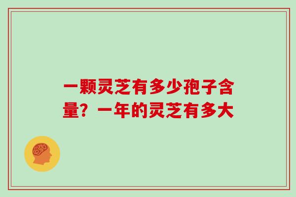 一颗灵芝有多少孢子含量？一年的灵芝有多大