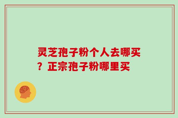 灵芝孢子粉个人去哪买?正宗孢子粉哪里买