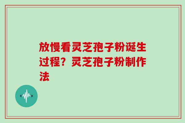 放慢看灵芝孢子粉诞生过程?灵芝孢子粉制作法