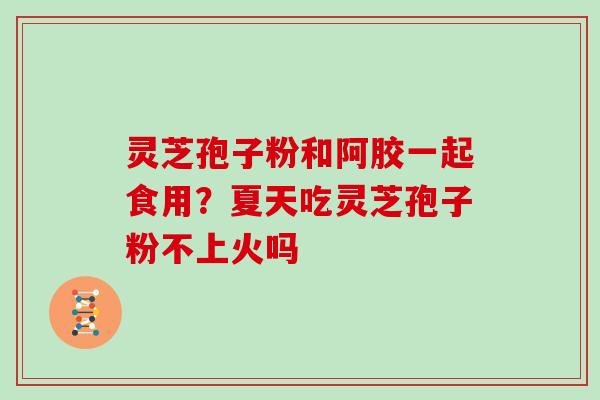 灵芝孢子粉和阿胶一起食用?夏天吃灵芝孢子粉不上火吗