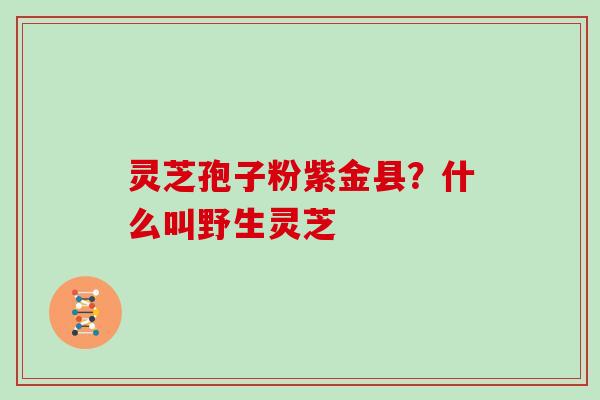 灵芝孢子粉紫金县?什么叫野生灵芝
