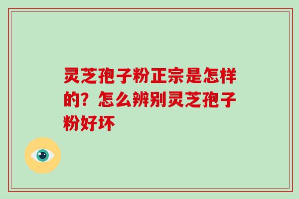 灵芝孢子粉正宗是怎样的?怎么辨别灵芝孢子粉好坏