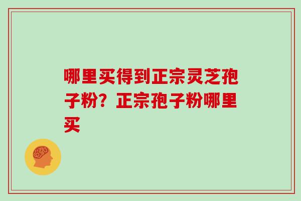 哪里买得到正宗灵芝孢子粉?正宗孢子粉哪里买