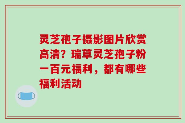 灵芝孢子摄影图片欣赏高清?瑞草灵芝孢子粉一百元福利,都有哪些福利活动