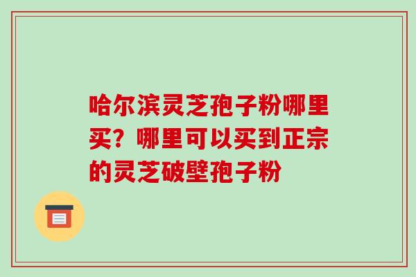 哈尔滨灵芝孢子粉哪里买?哪里可以买到正宗的灵芝破壁孢子粉
