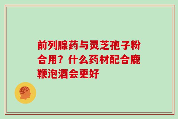 前列腺药与灵芝孢子粉合用?什么药材配合鹿鞭泡酒会更好