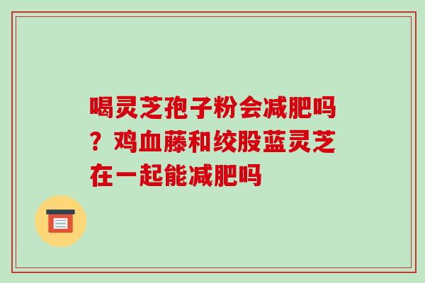 喝灵芝孢子粉会减肥吗？鸡血藤和绞股蓝灵芝在一起能减肥吗