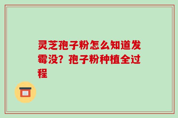 灵芝孢子粉怎么知道发霉没?孢子粉种植全过程