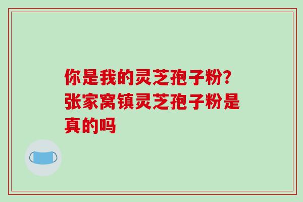 你是我的灵芝孢子粉?张家窝镇灵芝孢子粉是真的吗