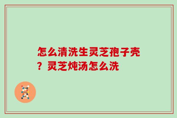 怎么清洗生灵芝孢子壳?灵芝炖汤怎么洗