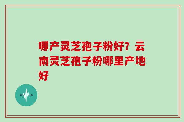 哪产灵芝孢子粉好？云南灵芝孢子粉哪里产地好