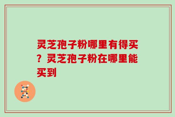 灵芝孢子粉哪里有得买？灵芝孢子粉在哪里能买到