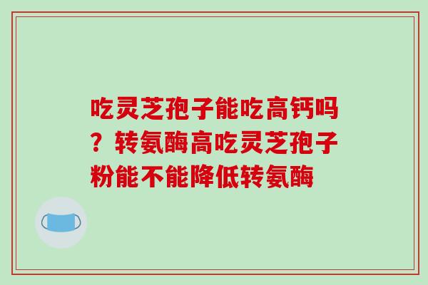 吃灵芝孢子能吃高钙吗？转氨酶高吃灵芝孢子粉能不能降低转氨酶