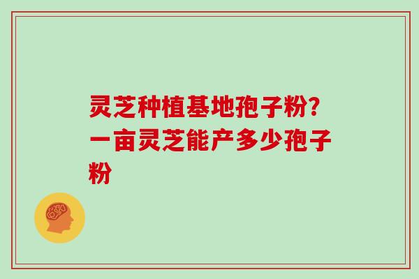 灵芝种植基地孢子粉?一亩灵芝能产多少孢子粉
