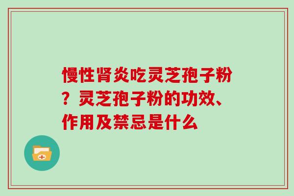 慢性肾炎吃灵芝孢子粉？灵芝孢子粉的功效、作用及禁忌是什么