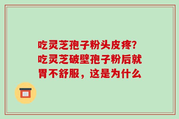 吃灵芝孢子粉头皮疼?吃灵芝破壁孢子粉后就胃不舒服,这是为什么