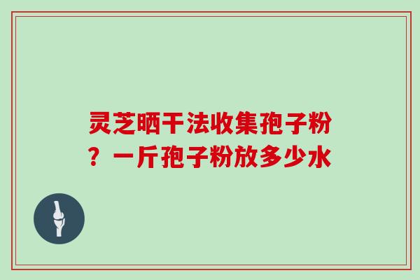 灵芝晒干法收集孢子粉？一斤孢子粉放多少水