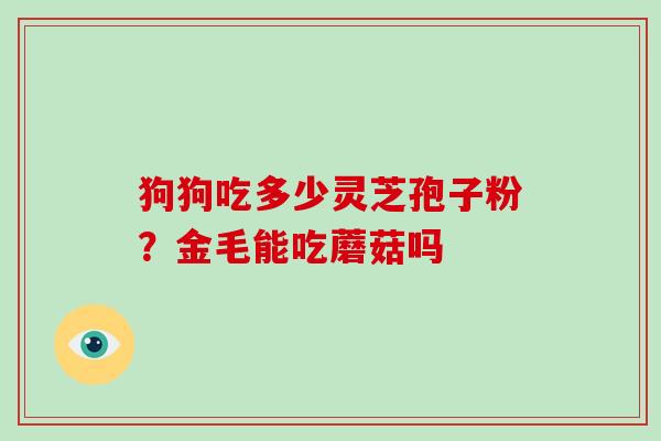 狗狗吃多少灵芝孢子粉？金毛能吃蘑菇吗