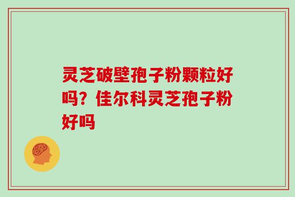 灵芝破壁孢子粉颗粒好吗?佳尔科灵芝孢子粉好吗