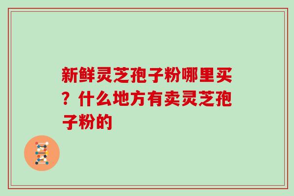 新鲜灵芝孢子粉哪里买?什么地方有卖灵芝孢子粉的