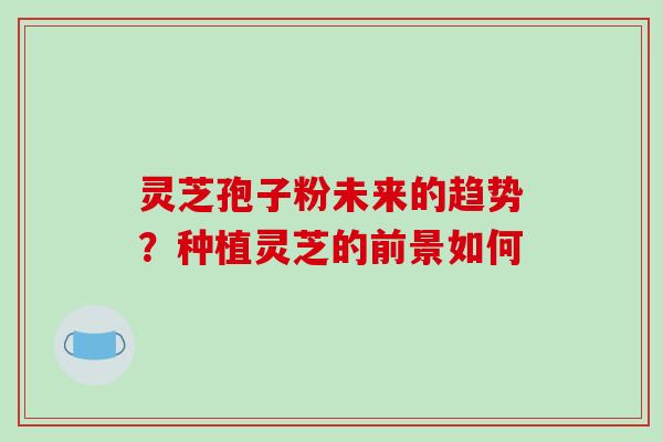 灵芝孢子粉未来的趋势?种植灵芝的前景如何