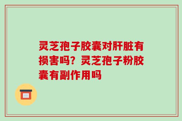 灵芝孢子胶囊对肝脏有损害吗？灵芝孢子粉胶囊有副作用吗