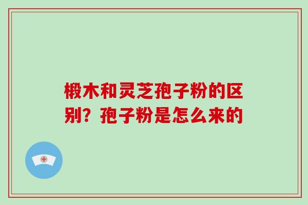 椴木和灵芝孢子粉的区别?孢子粉是怎么来的
