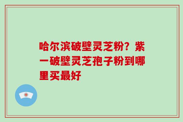 哈尔滨破壁灵芝粉?紫一破壁灵芝孢子粉到哪里买最好