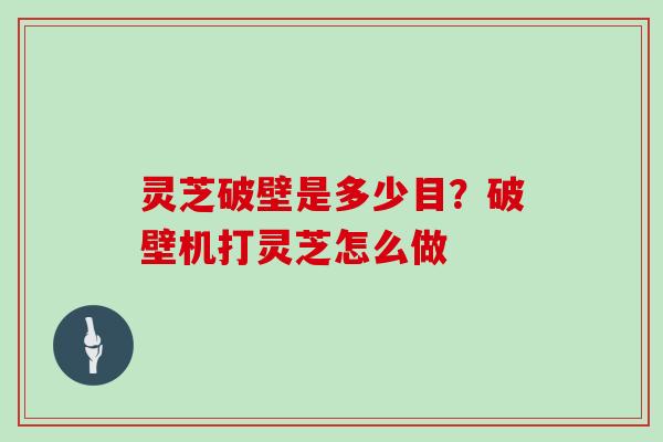 灵芝破壁是多少目?破壁机打灵芝怎么做