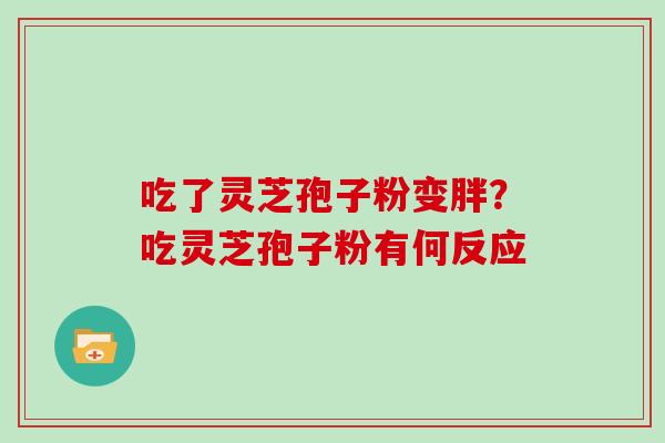 吃了灵芝孢子粉变胖?吃灵芝孢子粉有何反应
