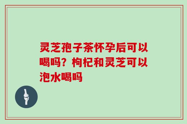 灵芝孢子茶怀孕后可以喝吗?枸杞和灵芝可以泡水喝吗